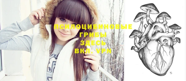 ешки Зерноград